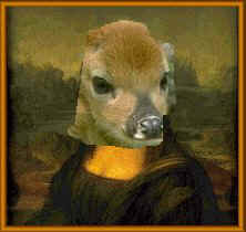 The One and Only Mona Deer